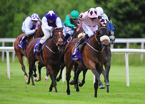 Jefferson Davis and Chris Hayes (pink and black silks) are too strong for their Leopardstown opponents