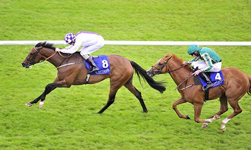 Ringside Humour winning at the Curragh on Sunday