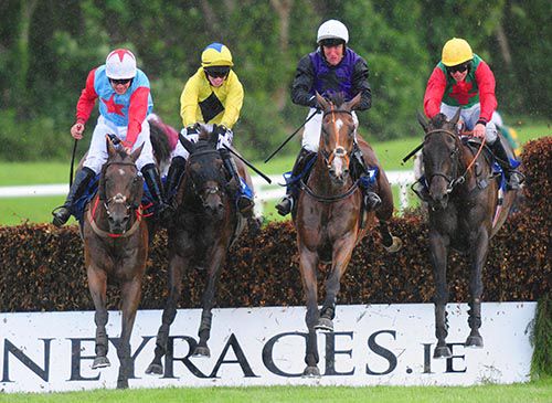 Lilly The Lioness, second left, toughs it out in Killarney