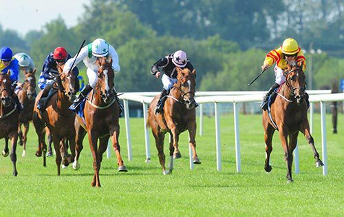 Beau Recall, right, keeps on best in Tipperary