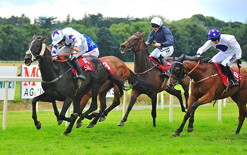 Black Warrior holds a narrow lead in Cork