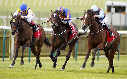 Brave Anna (right) beats Roly Poly (centre) and Lady Aurelia
