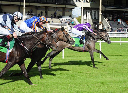 Capri and Ryan Moore lead them home in the Beresford