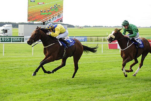 Texas Rock beats off Chestnut Fire in the Curragh