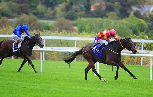 Flying Fairies and Gary Carroll impress at Leopardstown