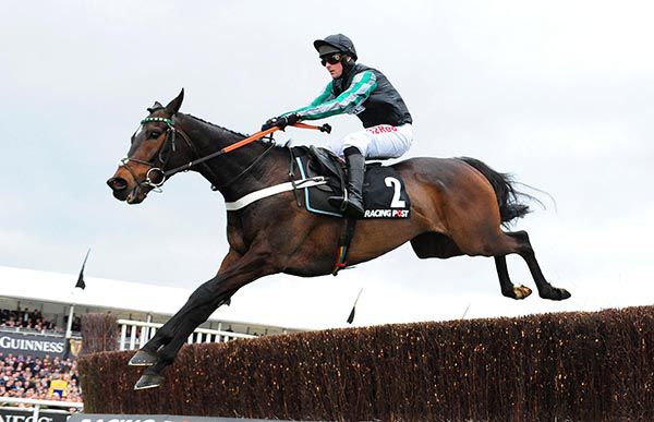 The Nicky Henderson-trained Altior