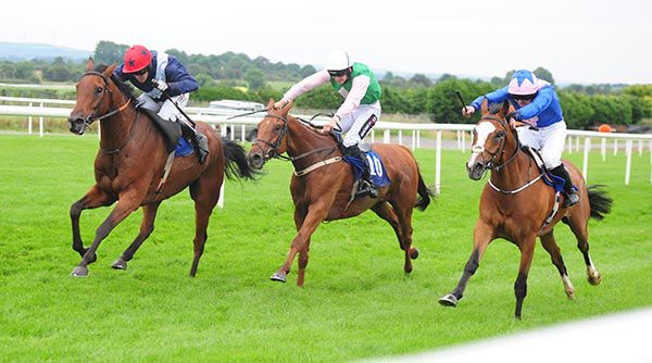 Thermistocles, near side, keeps on best in Roscommon
