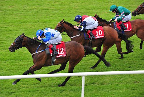 Tithonus sees them off in the Curragh