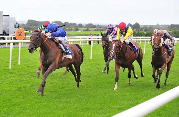 Stenographer (blue) leads them home under Kevin Manning