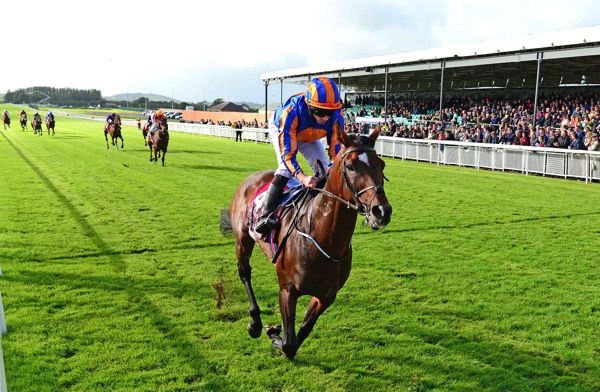 Order Of St George winning at Curragh on Sunday