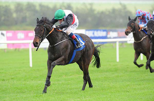 Hit The Silk in the clear at Limerick