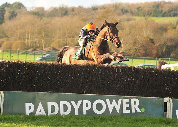 Logical Song and Danny Mullins pictured on their way to victory