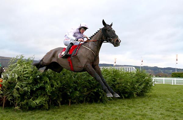 Bless The Wings and Davy Russell make the best way home 