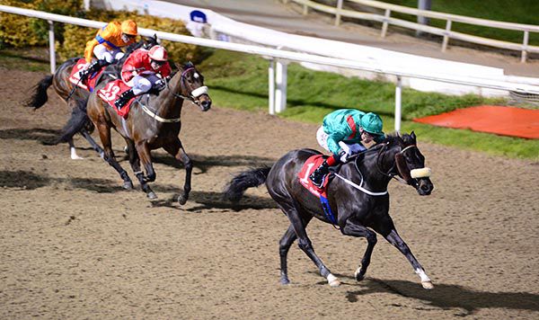 Adaliya and Pat Smullen clear in Dundalk