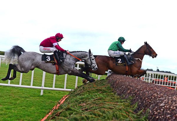 Petit Mouchoir gets the second fence all wrong at Leopardstown
