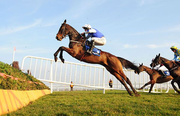 Willie Mullins said Cadmium "jumped immaculately" as seen in this shot under David Mullins 