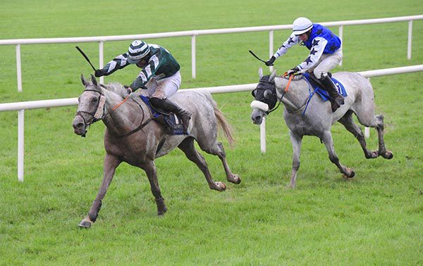 Grey Mountain Mist leads home Hand Of The King