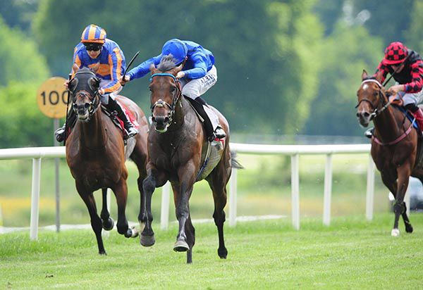 Kevin Manning (blue silks) guides Change Of Velocity to victory at Gowran