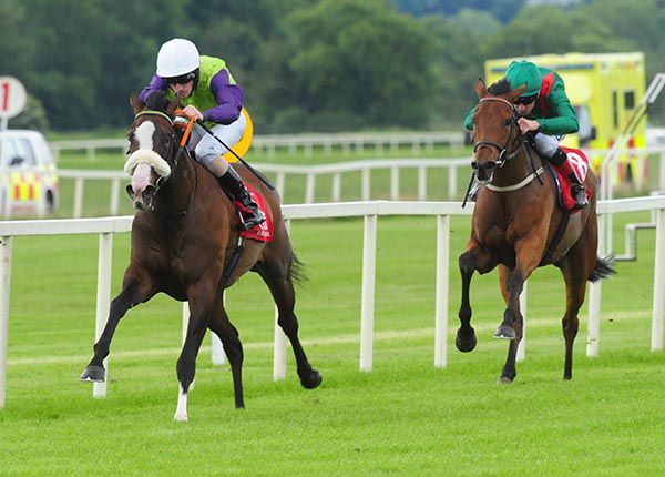 Excelling Spirit and Billy Lee account for Shelannga and Declan McDonogh