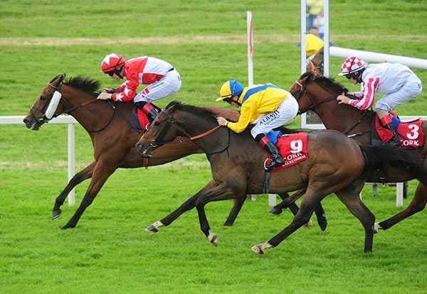 Kindly beating Count Of Carabass in the six-furlong handicap at Cork