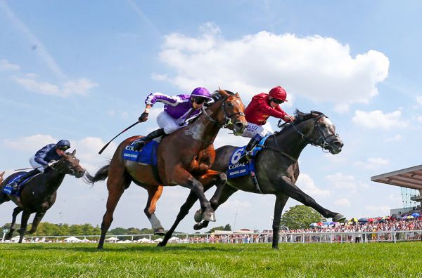 Roaring Lion (right) just beating Saxon Warrior by a neck in the Coral-Eclipse at Sandown