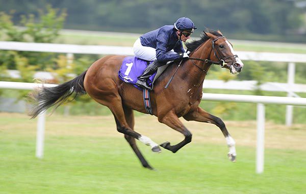Goddess pictured on her way to victory at Leopardstown at fortnight ago