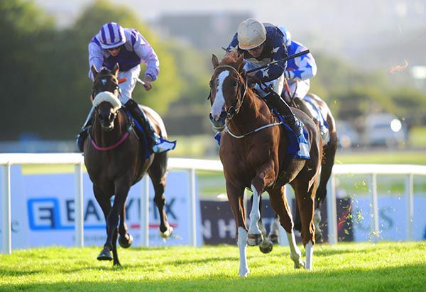 Baba Boom, near side, finishes best in Galway