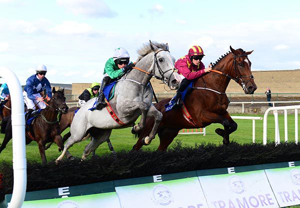 Grey horse Teqany (Danny Mullins) takes a jump in company with Ourauldman
