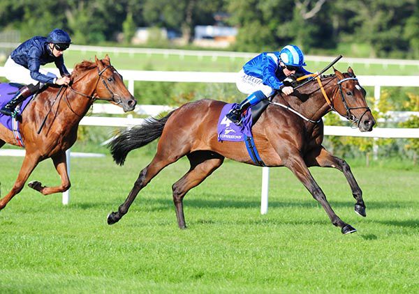 Madhmoon (Chris Hayes) beating Sydney Opera House on debut at Leopardstown