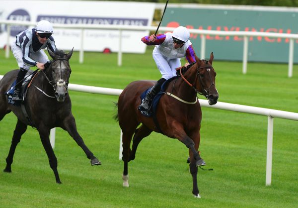 Laurens (right) winning the 2018 Matron Stakes from Alpha Centauri