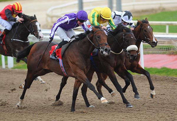 Excelcius (centre) stays on best to beat Vivacious Spirit (far side) and Empire State