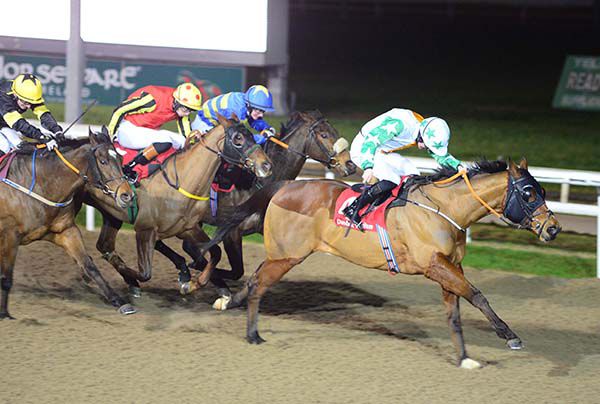 Georgian Bay and Tom Madden lead them home in race two at Dundalk