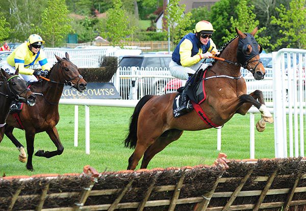 Count Simon puts in a fine leap at the last under Paddy Vaughan