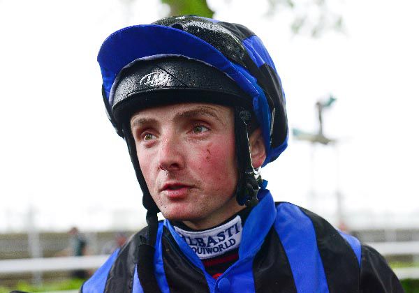 CHRIS HAYES was amongst the winners at Leopardstown