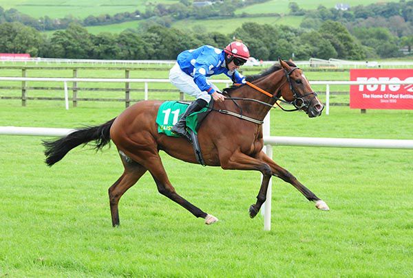 Franklyn (Simon Torrens) wins for the second day running at Listowel