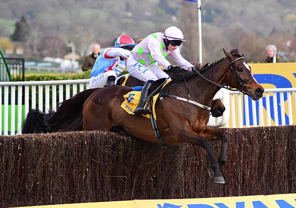 Min looks set to go off favourite for the John Durkan Memorial Punchestown Chase