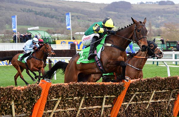 Lisnagar Oscar pictured on his way to victory at Cheltenham in March