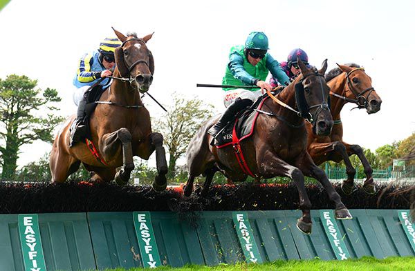 Guinevere and Simon Torrens (left0 jump the last before winning the Guiness 4-y-o Novice Hurdle