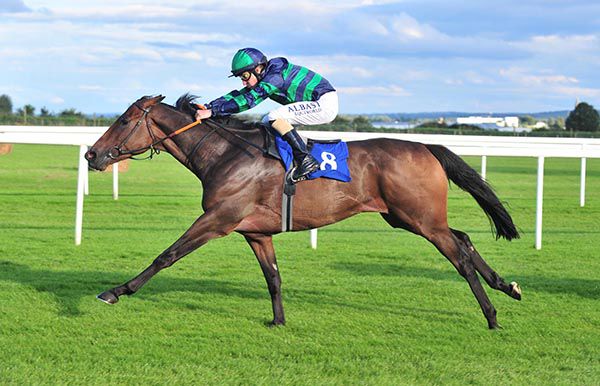 Shane Foley keeps Mona's Star up to his work
