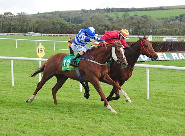 Shane Foley and Foreign Legion (nearside) get the better of Dylan Browne McMonagle and Ecoeye