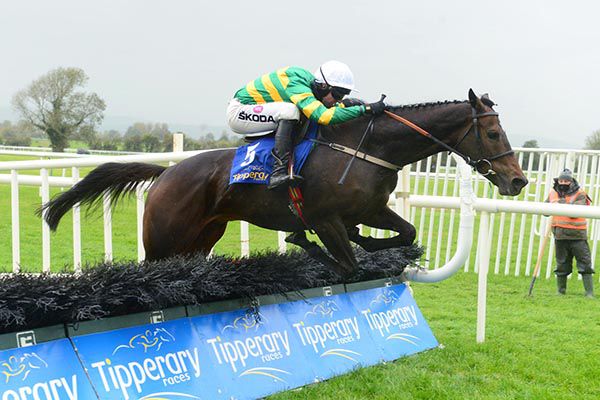 Mark Walsh and Saint Roi enjoy themselves in Tipperary