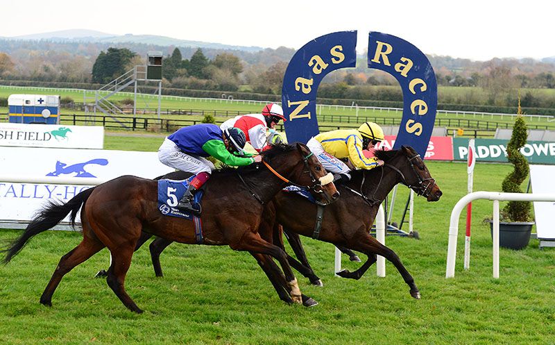 Ground is now yielding to soft at Naas 