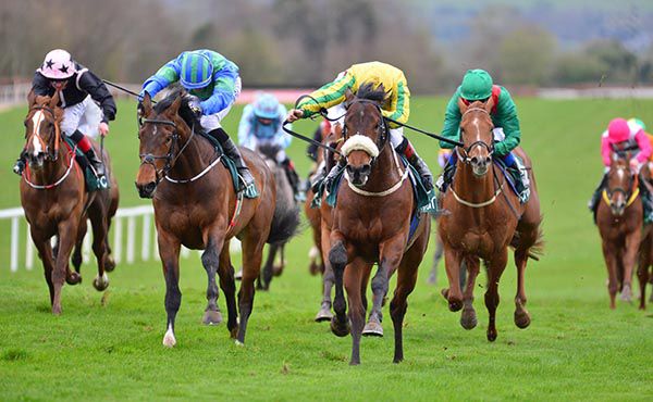 Team Of Firsts, yellow and green, justifies favouritism in Navan