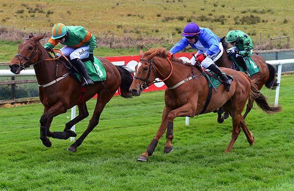 Shopping Around (nearside) gets up to win under Keith Donoghue