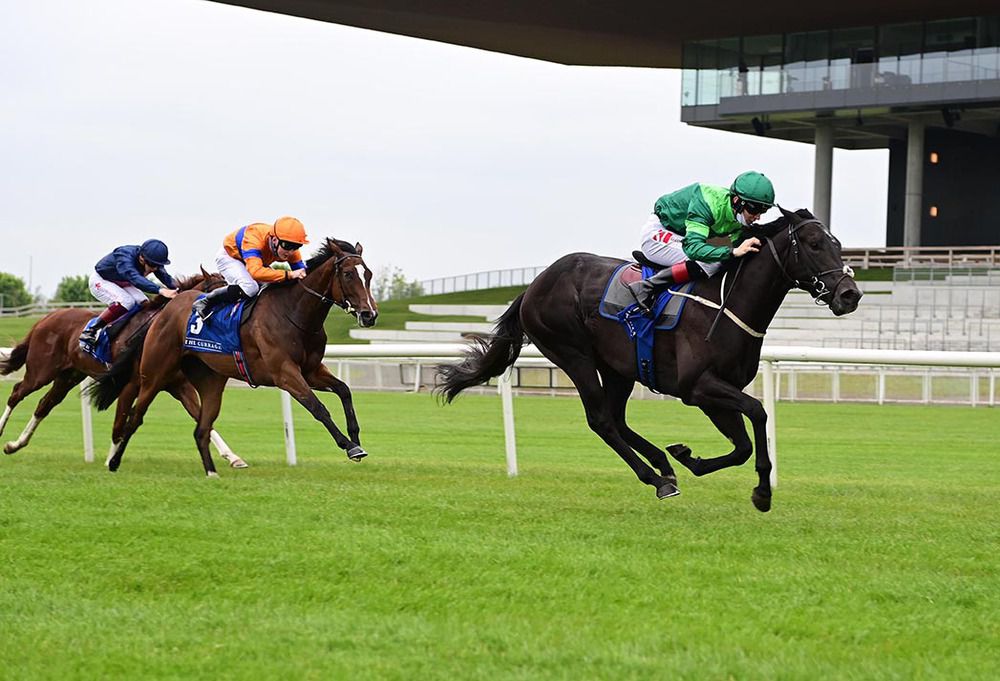 Dr Zempf seen here winning at the Curragh