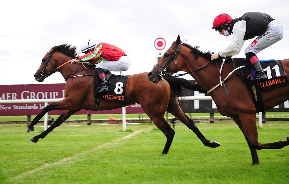 Earlswood hits the line in the Curragh