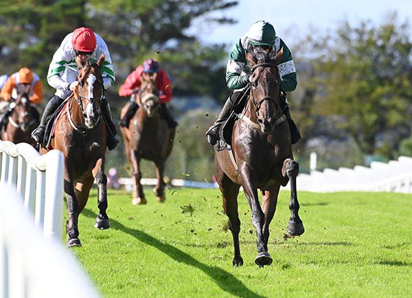 Blazing Khal leads home his rivals under Donie McInerney