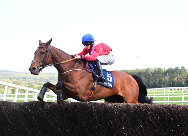 Envoi Allen returns to action this afternoon at Gowran Park  