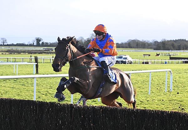 Rebel Gold reaches for the final fence, under Denis O'Regan