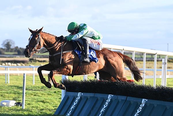 Hauturiere jumps the last under Danny Mullins